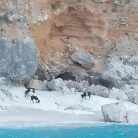 公寓 Dommu Amsicora Piano 1 *